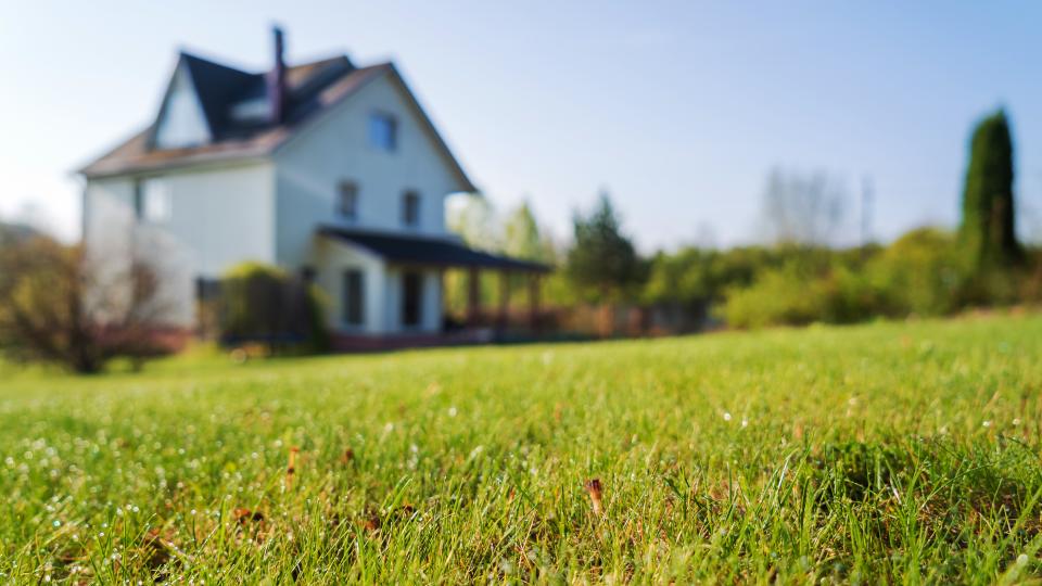 Rasen, im Hintergrund ist ein freistehendes Einfamilienhaus zu sehen